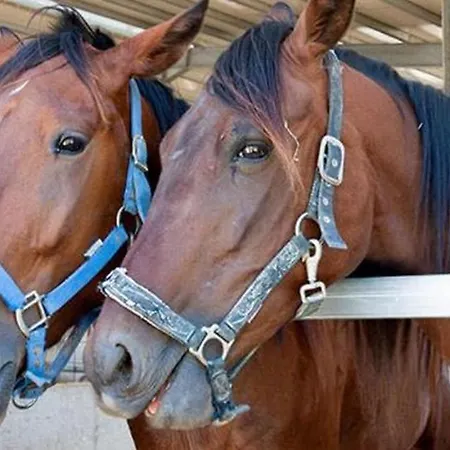 La Tana Del Cinghiale בית חווה