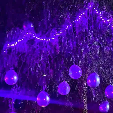 La Tana Del Cinghiale בית חווה