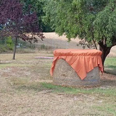 La Tana Del Cinghiale *