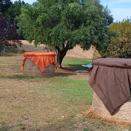 La Tana Del Cinghiale * Santa Vittoria in Matenano