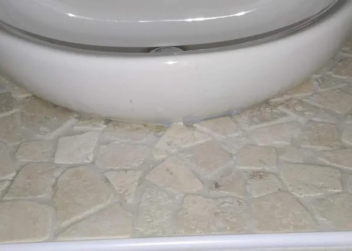 La Tana Del Cinghiale 农家乐 *