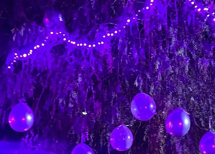 La Tana Del Cinghiale 农家乐